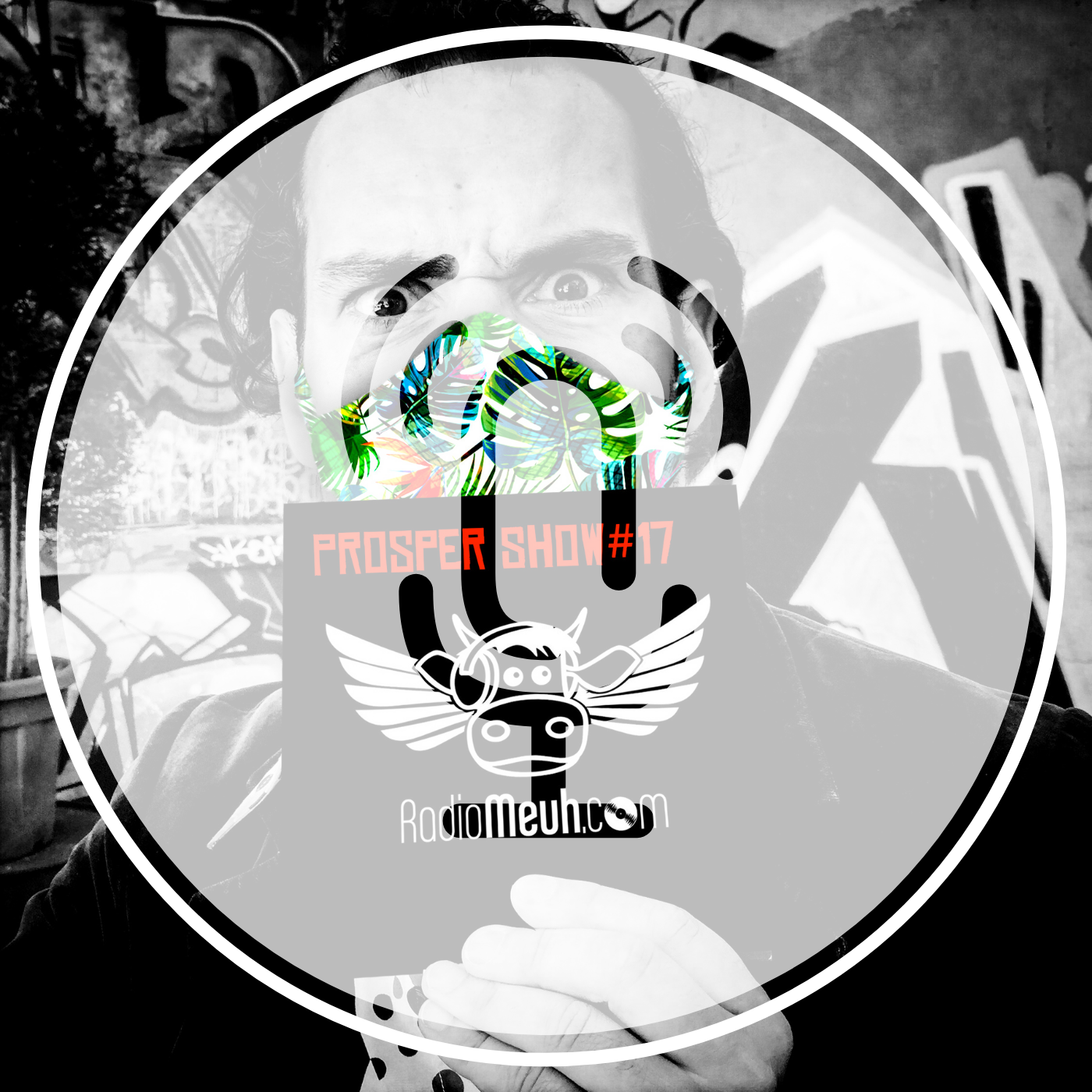 Prosper Show n17 Podcast